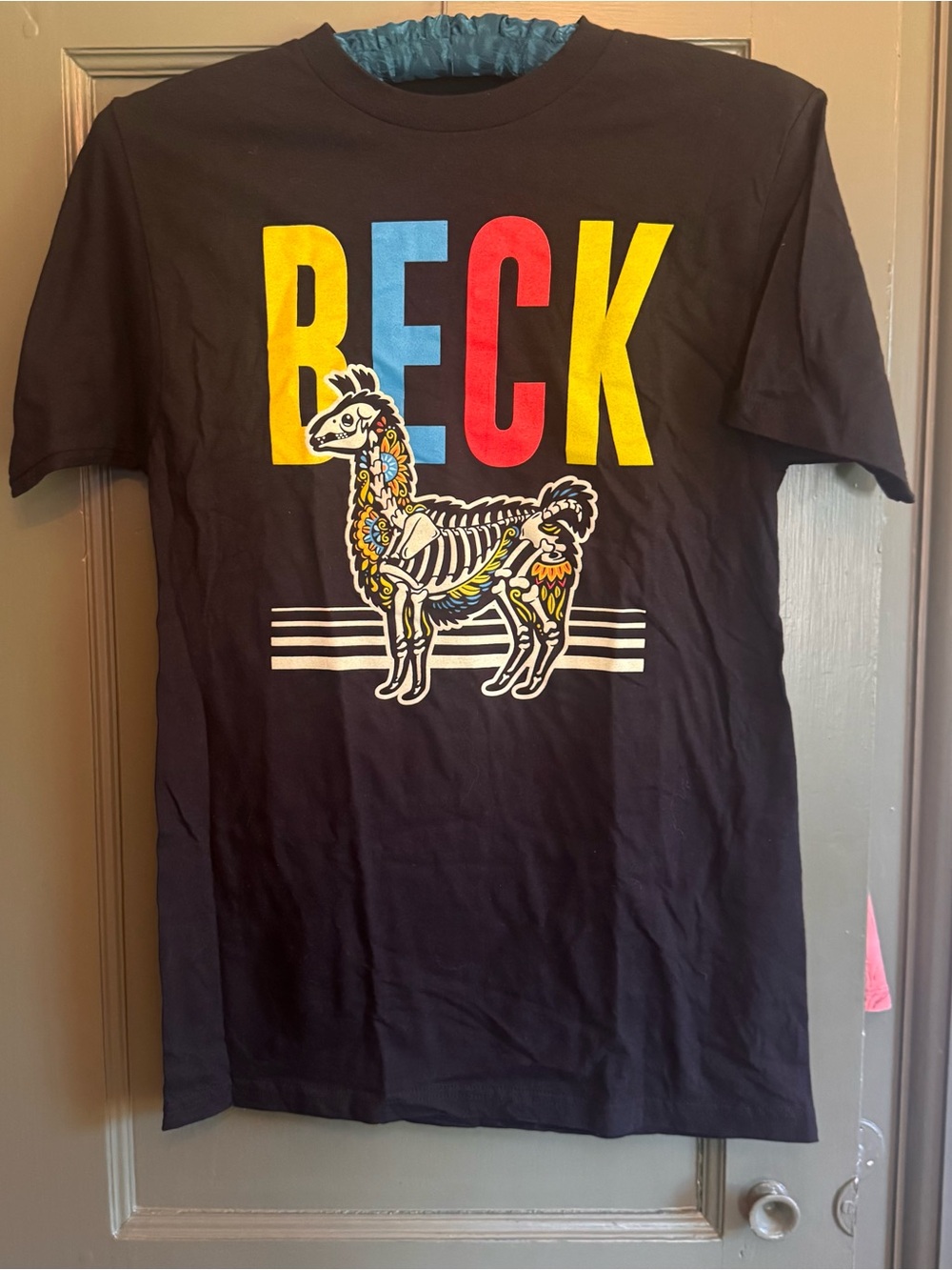 Beck T Shirt NWOT